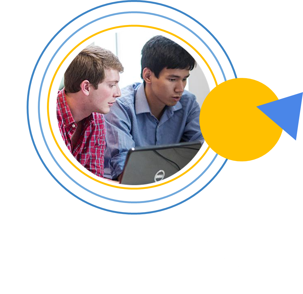 e-Mentoring module